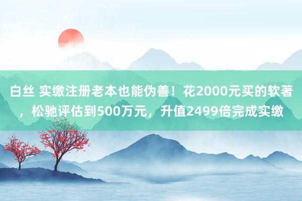 白丝 实缴注册老本也能伪善！花2000元买的软著，松驰评估到500万元，升值2499倍完成实缴