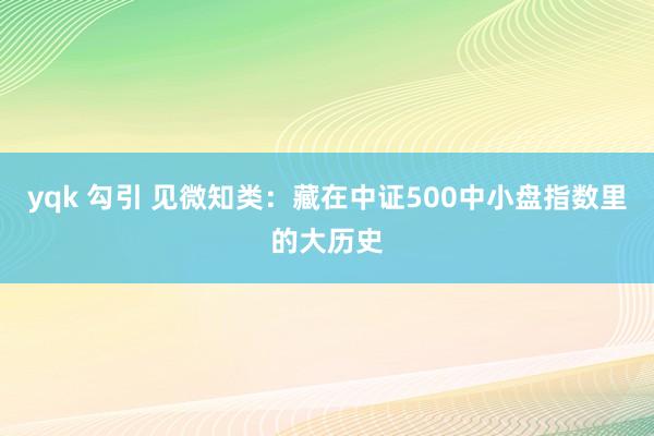 yqk 勾引 见微知类：藏在中证500中小盘指数里的大历史